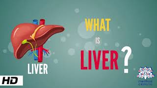 What is Liver Anatomy Parts and Function [upl. by Siraj]