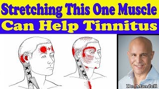 Stretching This One Neck Muscle Can Help Your Tinnitus  Dr Alan Mandell DC [upl. by Irehs]