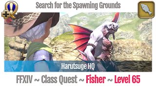 FFXIV Fisher Quest Level 65  Stormblood  Search for the Spawning Grounds Harutsuge HQ [upl. by Ahseyd]