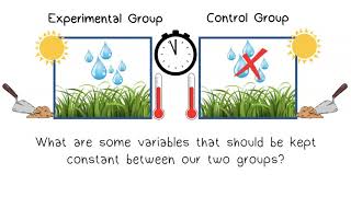 The Scientific Method Part 3 Setting up an Experiment [upl. by Madison393]