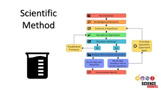 The Scientific Method Steps and Examples [upl. by Revkah690]