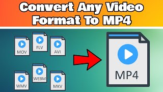 How To Convert Any Video Format To MP4 [upl. by Field375]