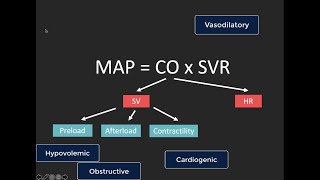 POCUS estimation of cardiac output [upl. by Estel]