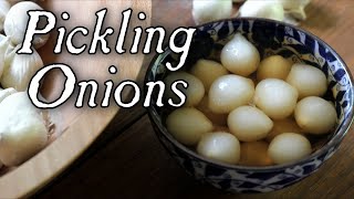 Pickling Onions Made Easy  Historical Food Preservation [upl. by Neicul940]