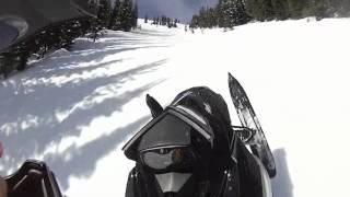 Grizzly Bear Snowmobile [upl. by Camm]