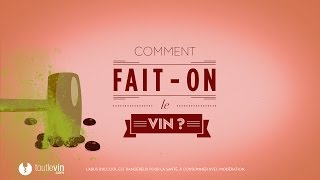 Comment faiton le vin   toutlevincom [upl. by Shell]