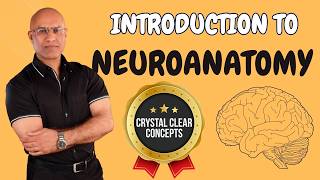 Intro to Neuroanatomy  Neurophysiology  Neuroscience  Central Nervous System [upl. by Ahtanaram]