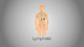 Organ System Overview [upl. by Richarda]