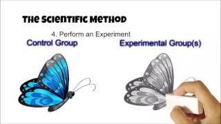 The Scientific Method  Review the Basics [upl. by Atnomed]