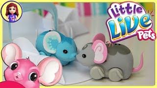 Little Live Pets Lil Mouse House Trail two Mice Chatter Smooch Unboxing Review Play  Kids Toys [upl. by Auhsot]