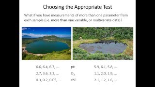 24 Hotelling T2 test [upl. by Anne-Marie729]