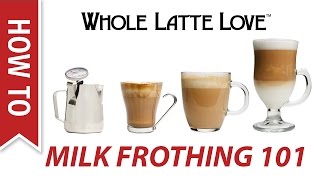 Milk Frothing for Beginners [upl. by Enigroeg]