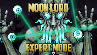 Terraria  Moon Lord Boss Expert Mode Guide with Melee [upl. by Bernetta806]