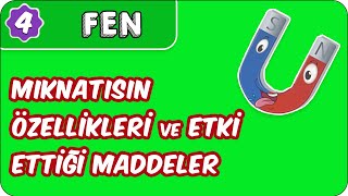 Mıknatısın Özellikleri ve Etki Ettiği Maddeler  4 Sınıf Fen evokul Kampı [upl. by Siaht]