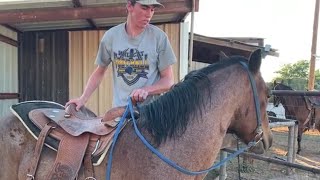 Horse Training  First Ride First Mount [upl. by Brozak881]