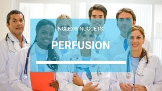 Perfusion — NCLEX® Nugget [upl. by Emil]