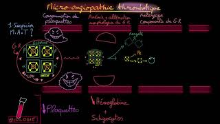 Pneumonia Symptoms Pathophysiology Nursing  Respiratory Disorders NCLEX Lecture Part 1 [upl. by Esiralc774]