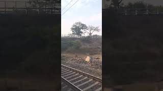 prayagraj express crossed bamrauli airport [upl. by Ihtak]