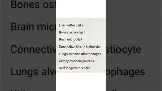 Organ system and macrophages [upl. by Raab]