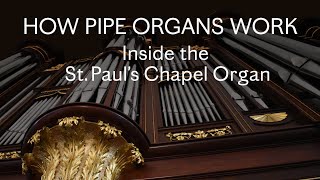 How Pipe Organs Work Inside the St Paul’s Chapel Organ [upl. by Dickey]