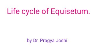 Life cycle of Equisetum by Dr Pragya Joshi [upl. by Enilhtak]