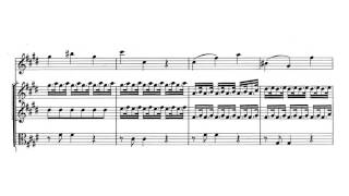 Violin Concerto quotSpring  La Primaveraquot in E major Op 8 No 1  Vivaldi Score [upl. by Delores]