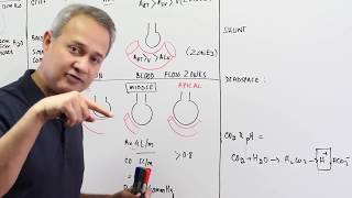 Ventilation Perfusion Ratio [upl. by Amabil]