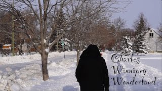 A typical Winter day in Winnipeg Manitoba Canada [upl. by Saref]