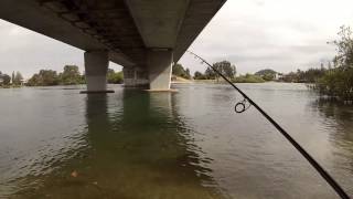 How to catch bream on bait around a bridge  basic bream fishing [upl. by Malim]