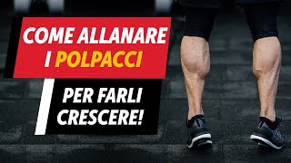 Come allenare i POLPACCI [upl. by Iniretake]