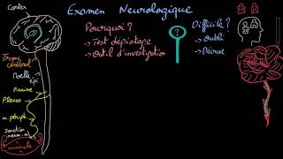 Examen neurologique  Introduction  Docteur Synapse [upl. by Eelimaj]