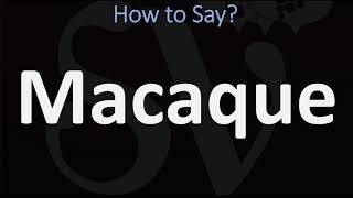 How to Pronounce Macaque CORRECTLY [upl. by Anattar]