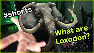 What is a Loxodon in DampD [upl. by Childers]