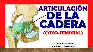 🥇 ARTICULACIÓN DE LA CADERA Coxofemoral Fácil Rápida y Sencilla [upl. by Haidabej]