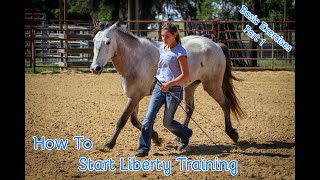 How To Start Liberty Training With Your Horse Basic Exercises Part 1 [upl. by Adon]