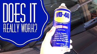 WD40 Hack on Wiper Blades Does it really work [upl. by Wendie]