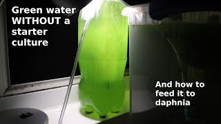 Green Water WITHOUT a Starter Culture  From Scratch  How To [upl. by Auvil207]