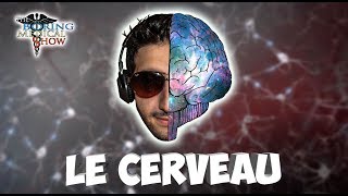 ANATOMIE  LE CERVEAU 🧠 [upl. by Ztirf]