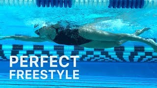 How To Swim Freestyle With Perfect Technique [upl. by Goodden]