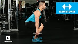 How to Dumbbell Squat  Mike Hildebrandt [upl. by Aoht]