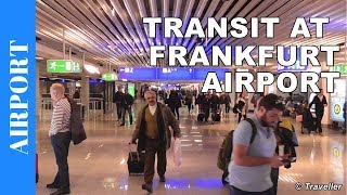 TRANSIT WALK AT FRANKFURT Airport FRA Terminal 1  Connection Flight Transfer Arriving amp Departing [upl. by Artep]