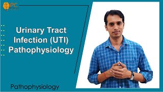 Urinary Tract Infections UTI Pathophysiology and Treatments [upl. by Beore]