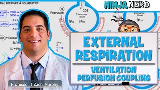 Respiratory  External Respiration Ventilation Perfusion Coupling [upl. by Eelyahs747]