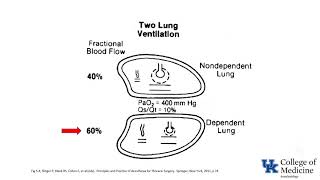 Respiratory Physiology Ventilation Perfusion Ratios  Dr Bowe [upl. by Ennayk]