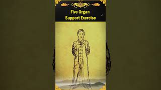 Five Organ Support Exercise [upl. by Elmer]