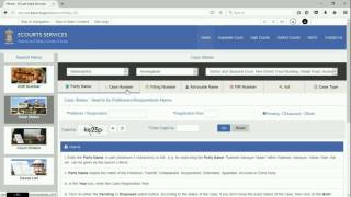 Case Number Search  Case Status  District Court Services [upl. by Neerac]