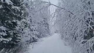 Winter in Manitoba Canada [upl. by Nasar632]